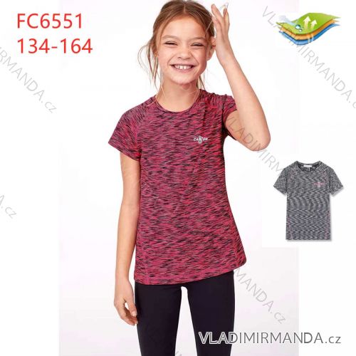 Girls' Short Sleeve T-Shirt (134-164) KUGO KT9869