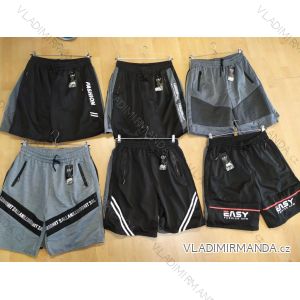 Men's tracksuit shorts (L-3XL) SAL SMILING SMI21WU-275