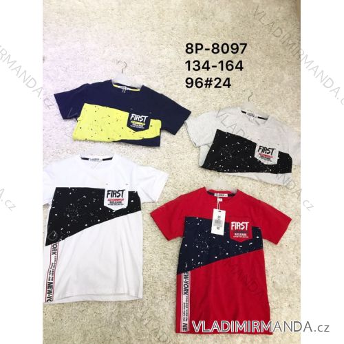 T-shirt short sleeve youth boys (134-164) ACTIVE SPORT ACT20XHZ-0041N