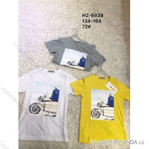 Boys short sleeve t-shirt (134-164) ACTIVE SPORT ACT19XHZ-0037N