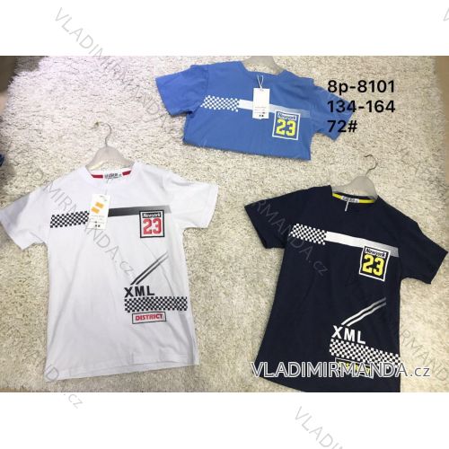 T-shirt short sleeve youth boys (134-164) ACTIVE SPORT ACT208P-8126