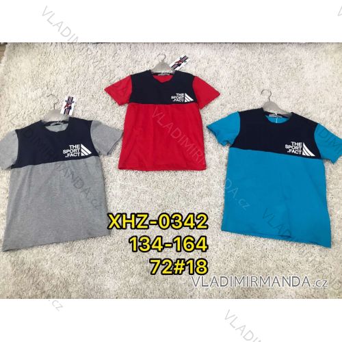 Boys short sleeve t-shirt (134-164) ACTIVE SPORT ACT19XHZ-0037N