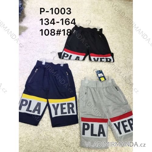 Puppy shorts for boys (134-164) ACTIVE SPORT ACT20YM-038