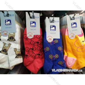 Men's socks thin (42-46) POLISH MODA DPP20003