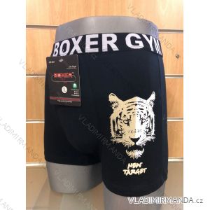 Boxers men (M-2XL) BOXER BOX19JM-621