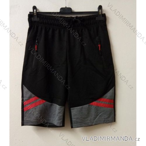 Men's shorts (L-3XL) QIFENG A2253