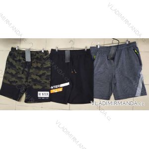 Shorts men's camouflage shorts (m-xxl) BENTER 28286