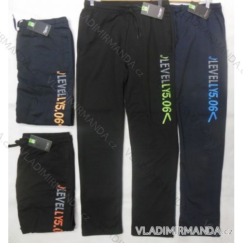 Men's tracksuit trousers (m-3xl) REFREE 63074
