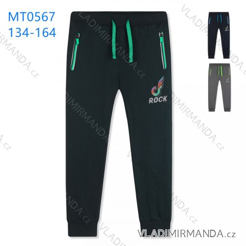 Warm sweatpants for boys (134-164) KUGO MT0567