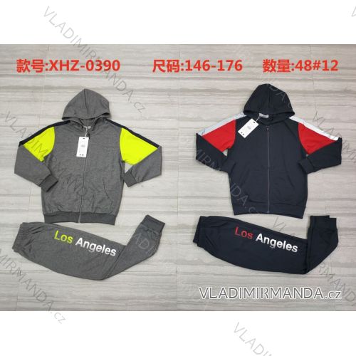 Set hooded sweatshirt with zip and sweatpants boys (146-176) ACTIVE SPORT ACT21XHZ-0390