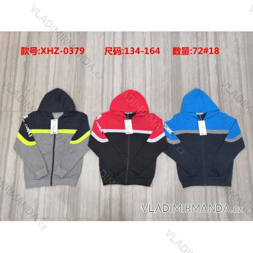 Zip hoodie teenagers boys (134-164) ACTIVE SPORT ACT21XHZ-0379