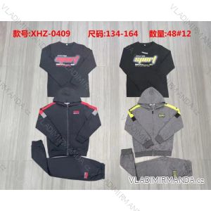 Set hooded sweatshirt with zipper and sweatpants youth boys (134-164) ACTIVE SPORT ACT21XHZ-0388