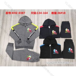 Set hooded sweatshirt with zipper and sweatpants youth boys (134-164) ACTIVE SPORT ACT21XHZ-0388