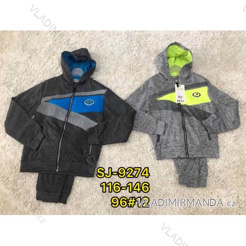 Set hooded sweatshirt with zip and sweatpants children teenagers boys (116-146) ACTIVE SPORT ACT21SJ-9274