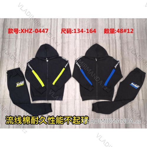 Set hooded sweatshirt with zipper and sweatpants youth boys (134-164) ACTIVE SPORT ACT21XHZ-0447