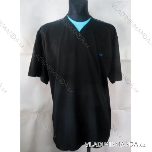 T-Shirt Short Sleeve Men's Cotton Oversized (2xl-5xl) DYNAMIC 137/46/3034
