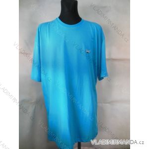 T-Shirt Short Sleeve Men's Cotton Oversized (3xl-6xl) DYNAMIC 1163601
