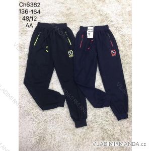 Boys 'youth boys' trousers (134-164) SAD SAD19BK46