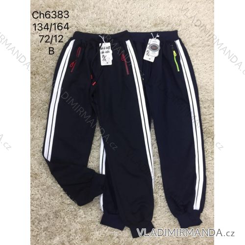 Boys 'youth boys' trousers (134-164) SAD SAD19BK46