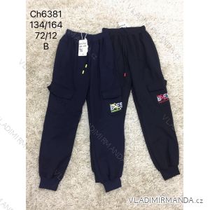 Boys 'youth boys' trousers (134-164) SAD SAD19BK46