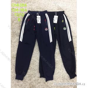 Boys 'youth boys' trousers (134-164) SAD SAD19BK46