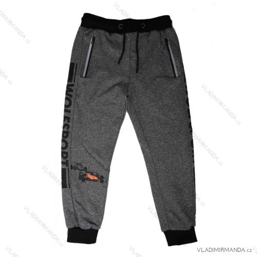 Children's long sweatpants (98-128) WOLF T2168