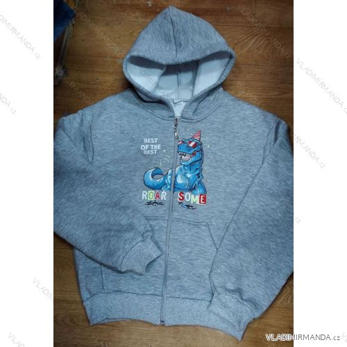 Zip hoodie kids teenagers boys (104-134) TUZZY TURKISH FASHION TM221073