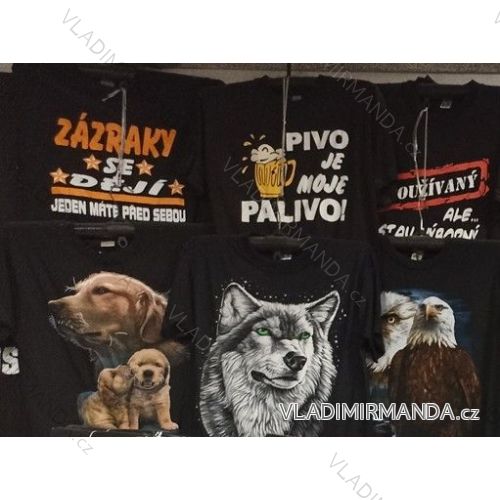 Men's short sleeve t-shirt (M-2XL) POLAND PV921001