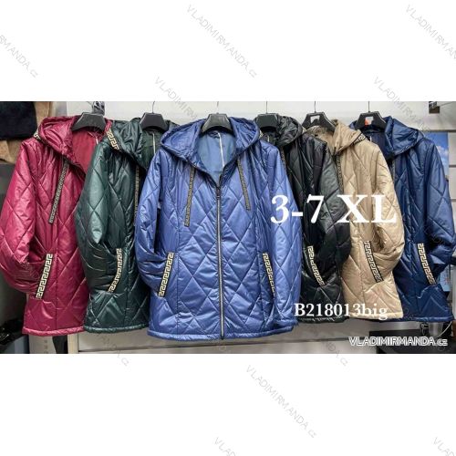 Zip Hooded Jacket Long Sleeve Women's Plus Size (3XL-8XL) POLISH FASHION PMWT21T21-69