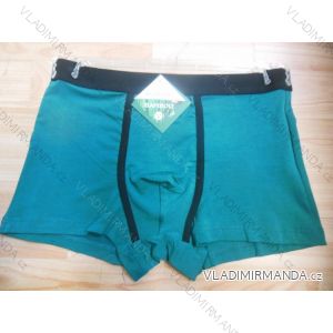 Boxers mens bamboo (m-2xl) AURA.VIA FR7399
