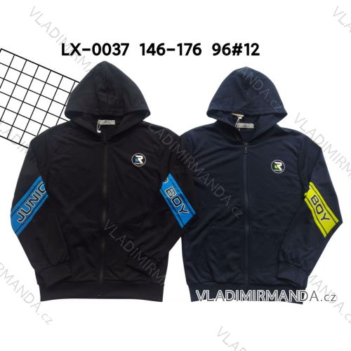 Youth boy's hoodie (146-176) ACTIVE SPORT ACT22LX-0037