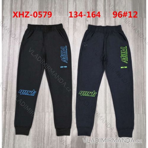 Long sweatpants for boys (134-164) ACTIVE SPORT ACT22XHZ-0579