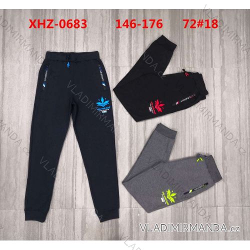 Long sweatpants for boys (146-176) ACTIVE SPORT ACT22XHZ-0683