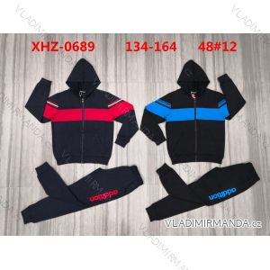 Set of tracksuits, hooded sweatshirt and T-shirt youth boy (134-164) ACTIVE SPORT ACT22XHZ-0689