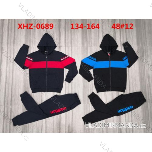 Set of tracksuits, hooded sweatshirt and T-shirt youth boy (134-164) ACTIVE SPORT ACT22XHZ-0689