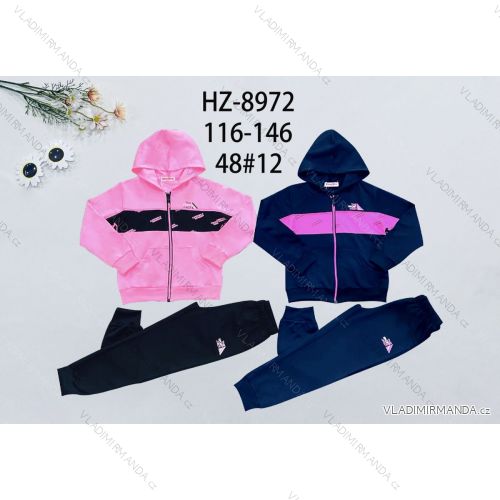 Set of hooded sweatshirt with zipper and sweatpants children's teen girls (116-146) ACTIVE SPORT ACT218P-7473