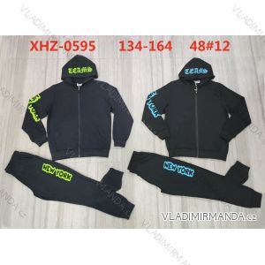 Set of tracksuits and hooded sweatshirt for teenagers (134-164) ACTIVE SPORT ACT22XHZ-0595