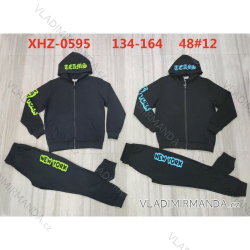 Set of tracksuits and hooded sweatshirt for teenagers (134-164) ACTIVE SPORT ACT22XHZ-0595