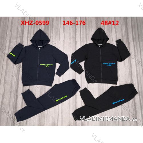 Youth boy's set of hooded sweatshirt with zip and sweatpants (146-176) ACTIVE SPORT ACT22XHZ-0691