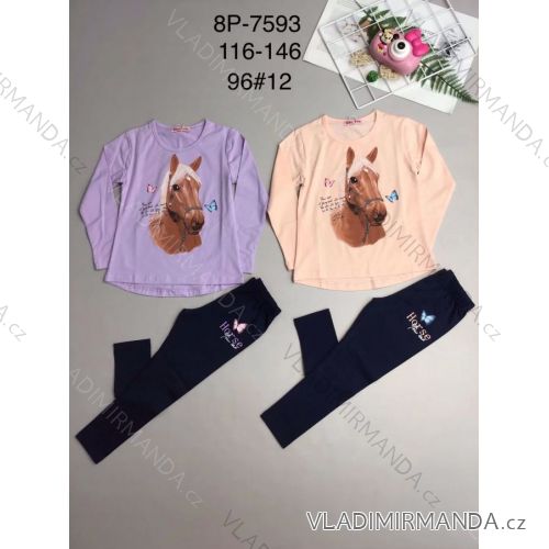 Long sleeve t-shirt and leggings set for children, teenagers, girls (116-146) ACTIVE SPORT ACT228P-7593