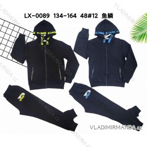 Set of tracksuits and hooded sweatshirt for teenagers (134-164) ACTIVE SPORT ACT22XHZ-0595