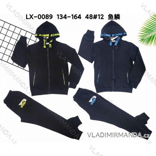 Set of tracksuits and hooded sweatshirt for teenagers (134-164) ACTIVE SPORT ACT22XHZ-0595