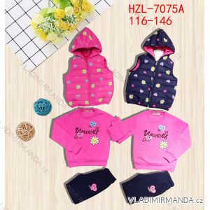 Set of vest with hood, sweatshirt and sweatpants children's youth girls' (116-146) ACTIVE SPORT ACT22HZL-7075A