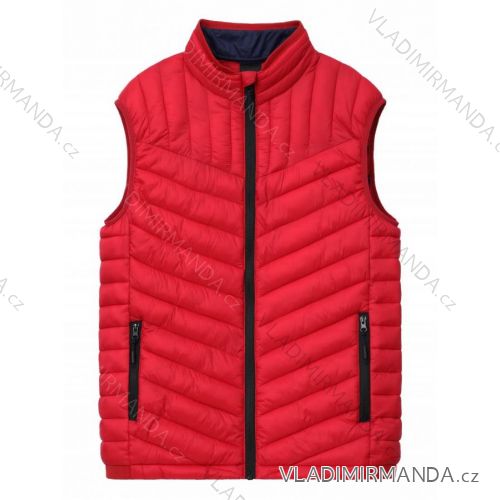 Girls' fur vest (92-128) GLO STORY GLO19GMJ-9529