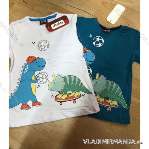 T-shirt long sleeve children's boys (1-4 years) TURKISH MADE TVA22120