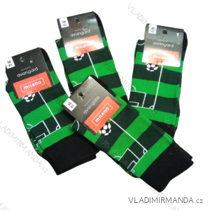 Men's socks thin (42-46) POLISH MODA DPP20003