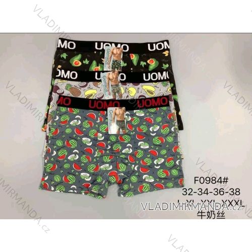 Men's boxer shorts L-3XL WD23F0984