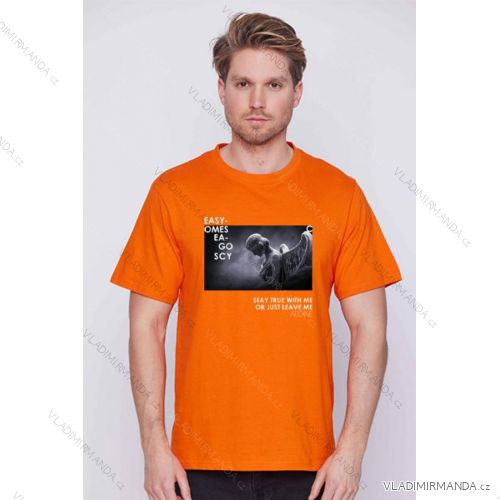 T-shirt short sleeve men's (S-2XL) GLO-STORY GLO23MPO-P8553