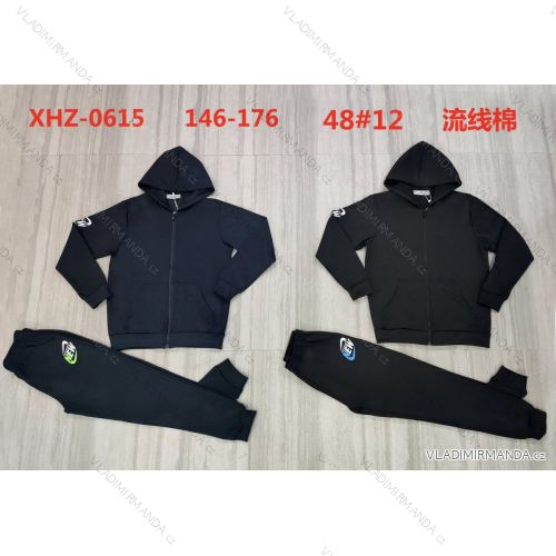 Youth boy's set of hooded sweatshirt with zip and sweatpants (146-176) ACTIVE SPORT ACT22XHZ-0691